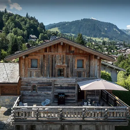 Snow - Ovo Network *