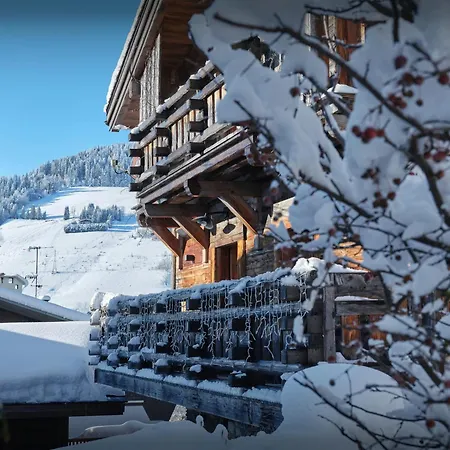 Domek alpejski Snow - Ovo Network