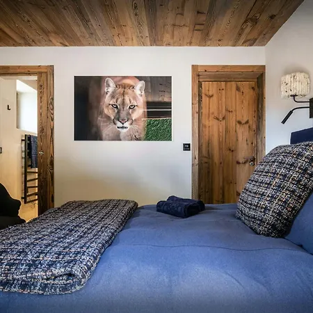 Snow - Ovo Network Alpstuga Megève