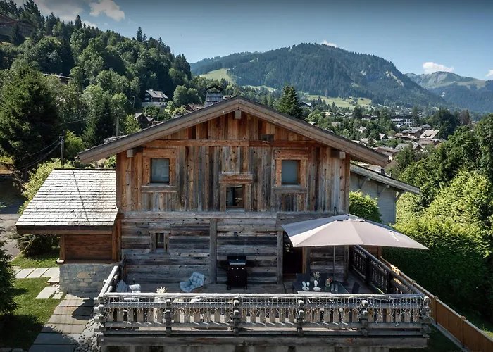 Snow - Ovo Network *