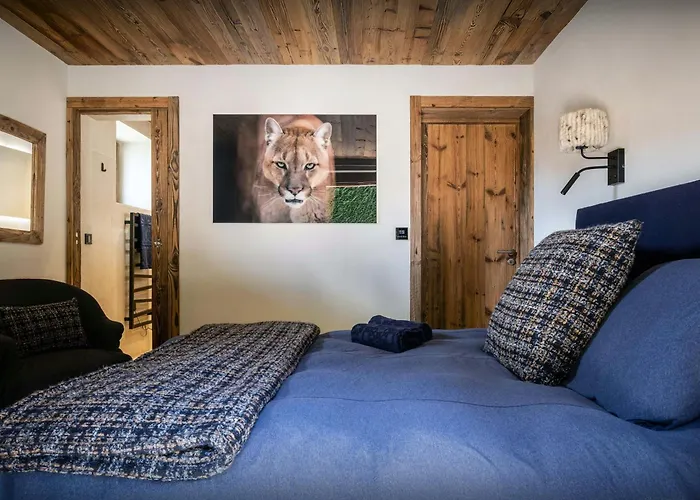 Snow - Ovo Network Chalet Megève