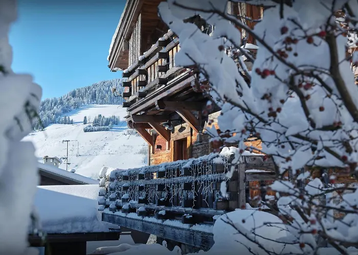 Chalet Snow - Ovo Network